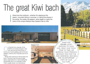 The great Kiwi bach